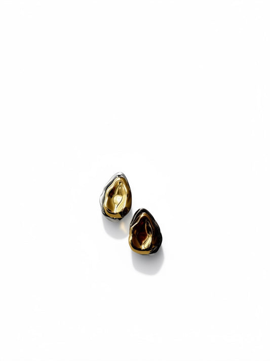 Aretes Icon
