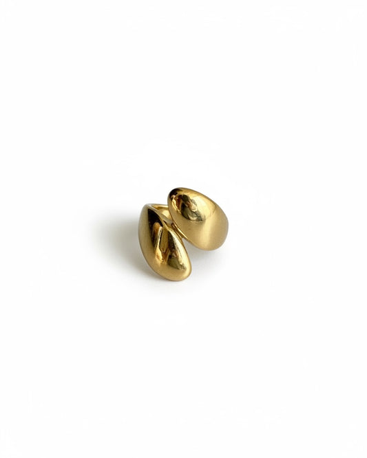 Anillo Jing