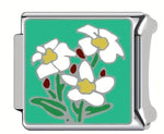 Random charm