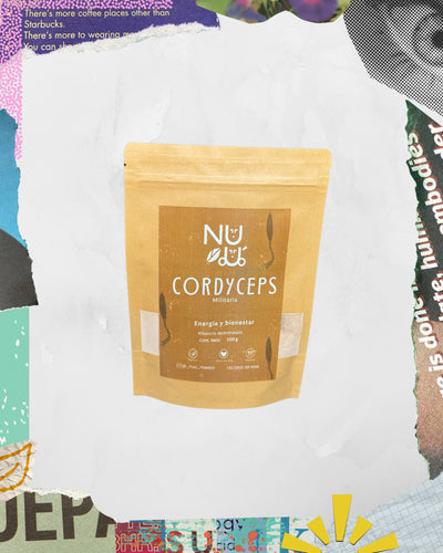 Adaptógeno Cordyceps militaris en polvo