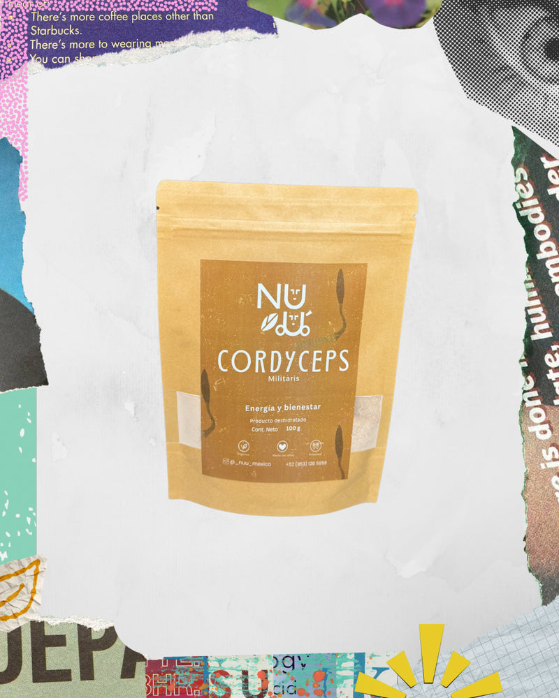 Adaptógeno Cordyceps militaris en polvo
