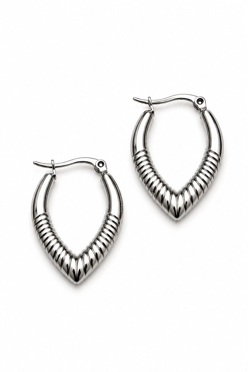 Aretes plateados hoja larga