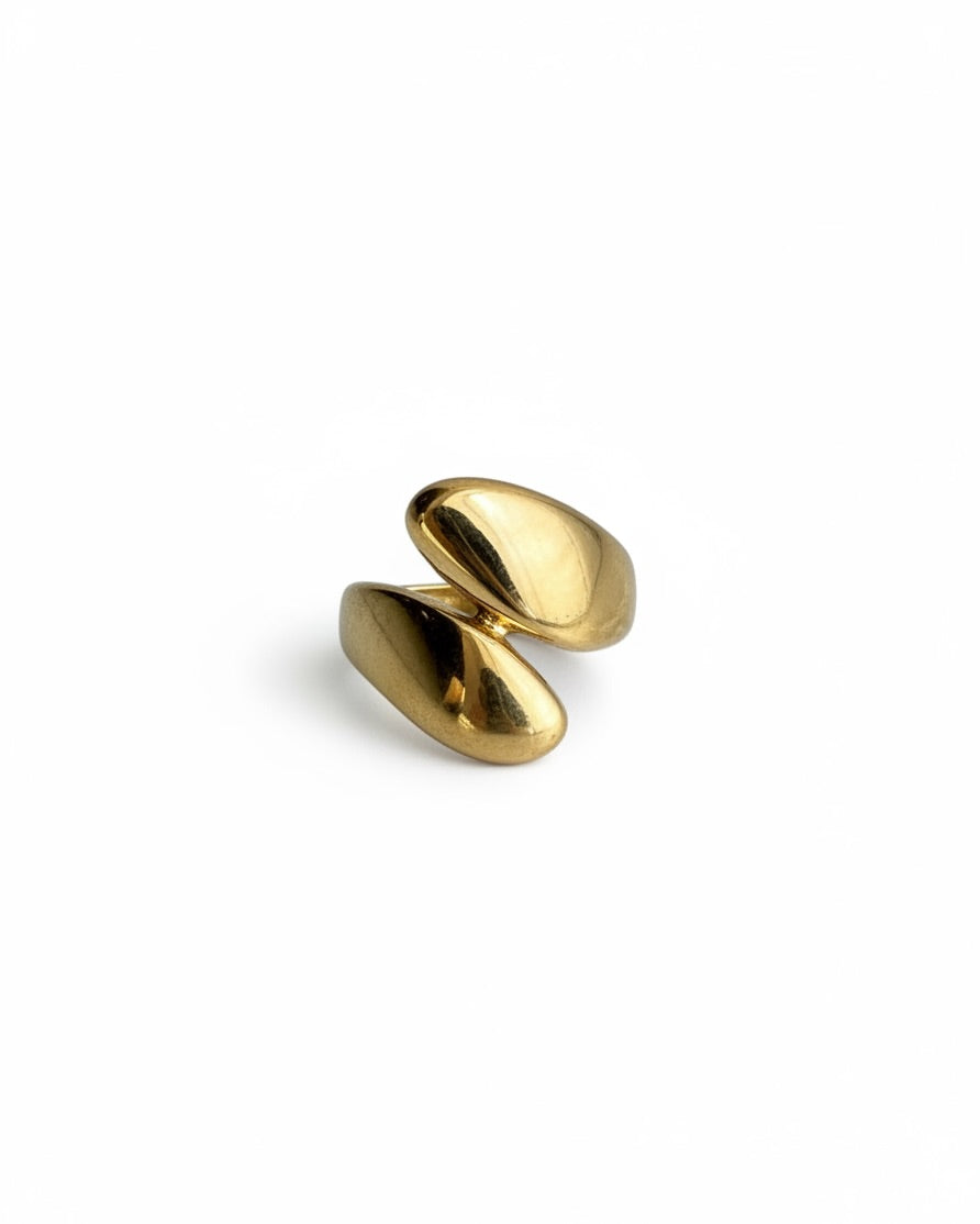 Anillo Jing