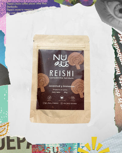 Adaptógeno Reishi en polvo presentacion chica