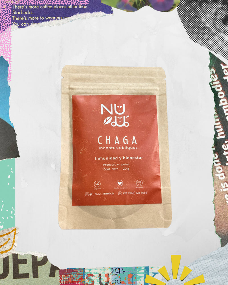 Adaptógeno Chaga en polvo presentacion chica