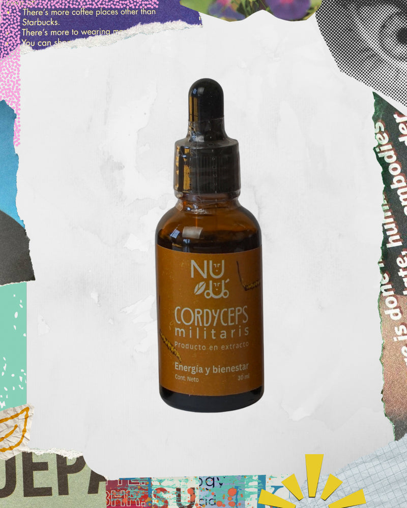Extracto de cordyceps militaris