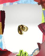 Anillo Jing