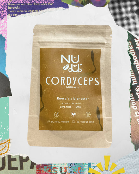 Adaptógeno Cordyceps militaris en polvo presentacion chica