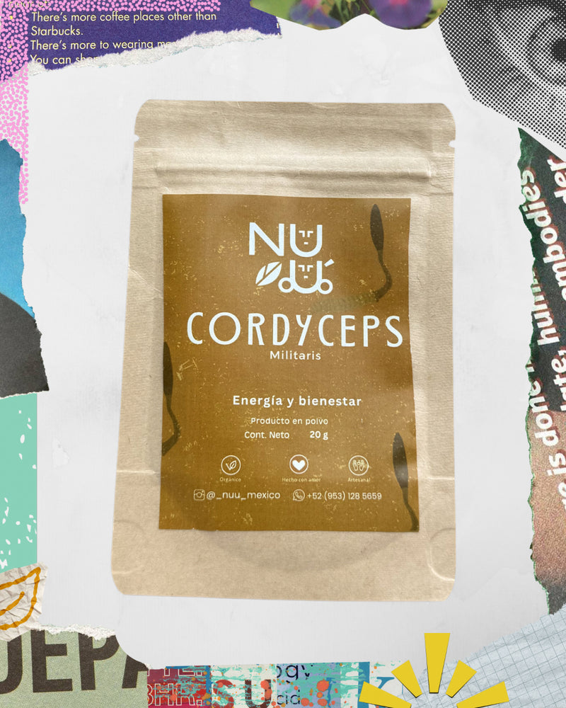 Adaptógeno Cordyceps militaris en polvo presentacion chica