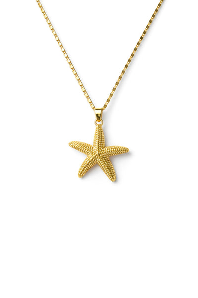 Collar estrella de mar
