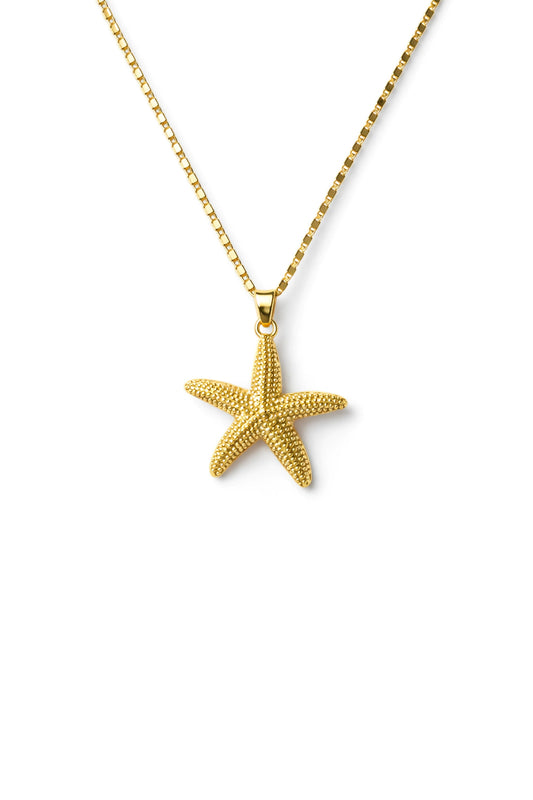 Collar estrella de mar