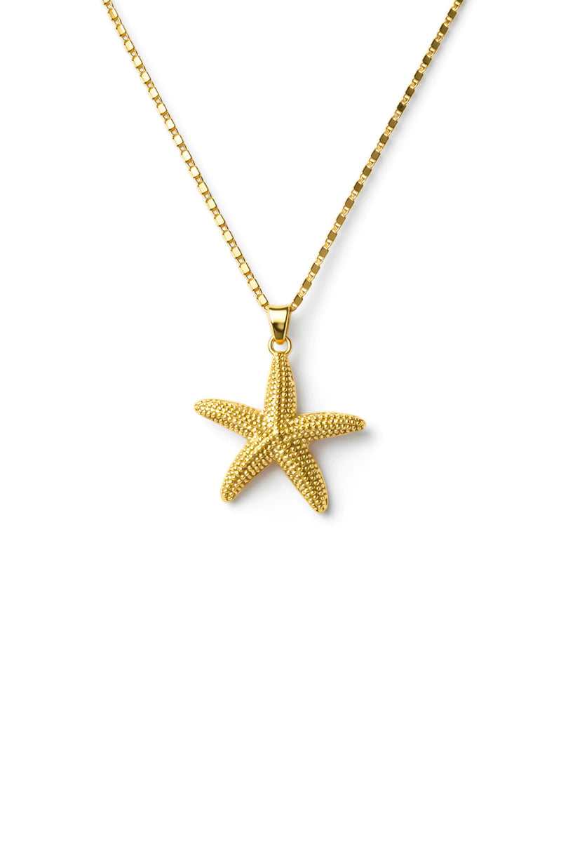 Collar estrella de mar